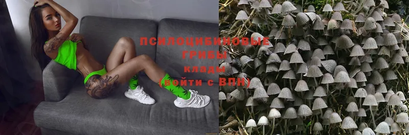 Купить Катайск Cocaine  МАРИХУАНА  Меф мяу мяу  ГАШ 